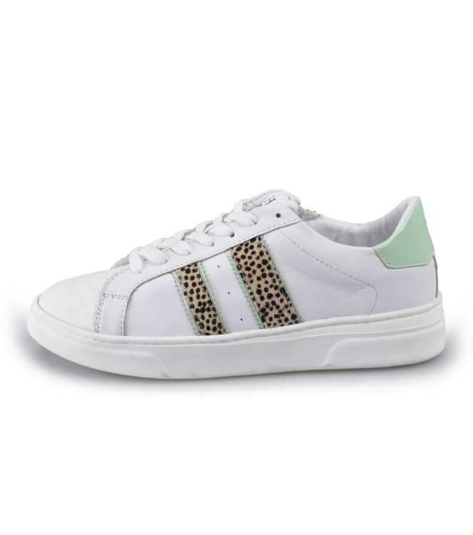 HIP Sneaker