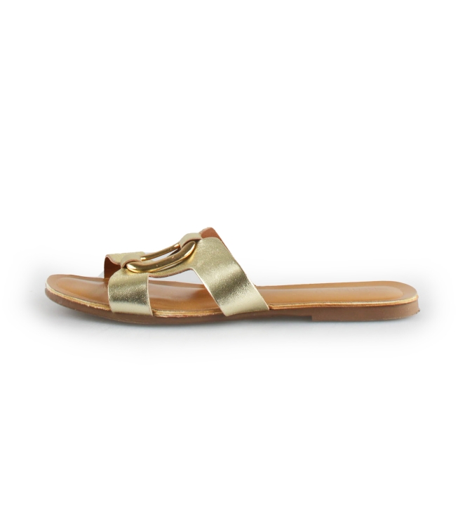 Notre-V Flip-Flops