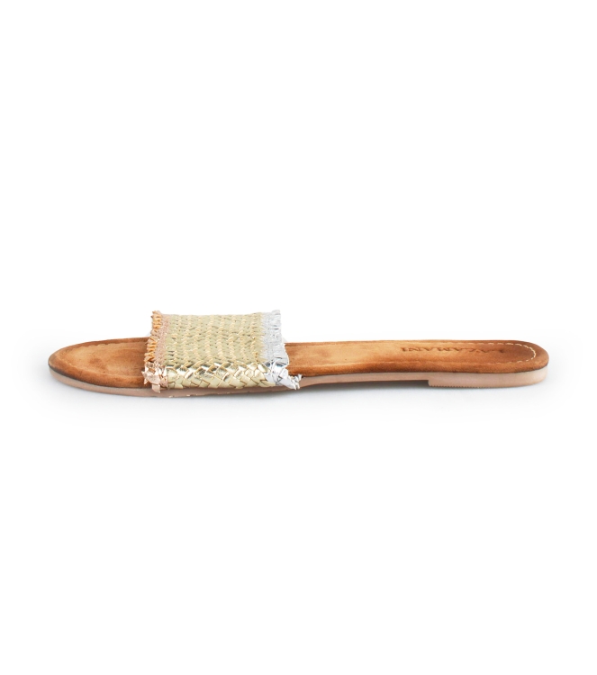 Lazamani Flip-Flops