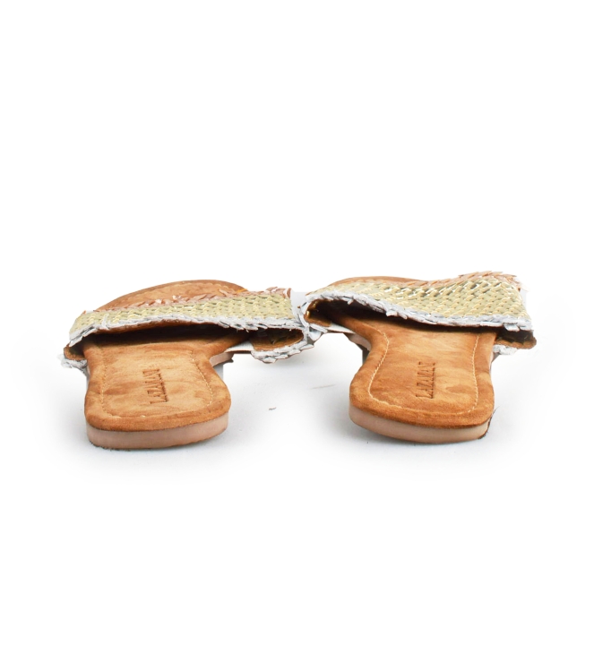 Lazamani Flip-Flops