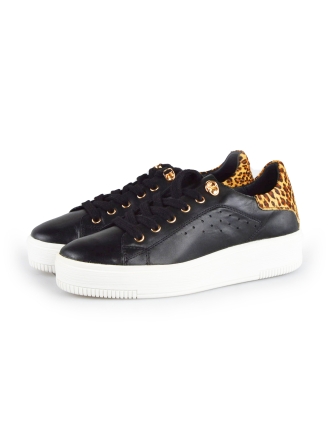 Cellini Sneaker Schwarz 177779