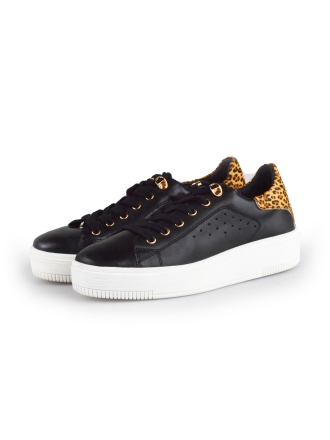 Cellini Sneaker Schwarz 177787
