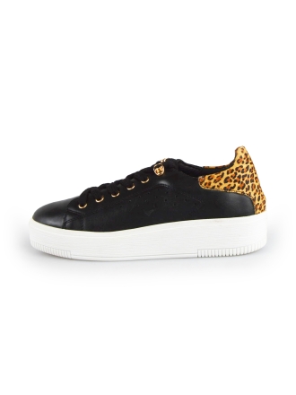 Cellini Sneaker Schwarz 177789