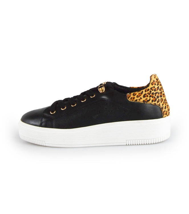 Cellini Sneaker