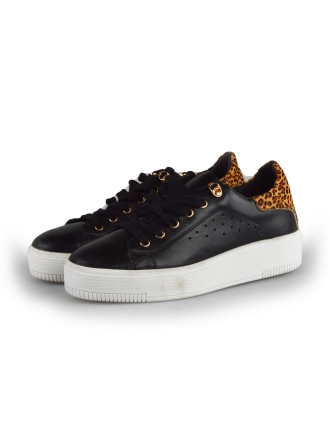 Cellini Sneaker Schwarz 177806