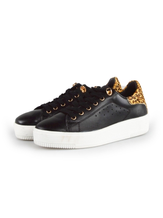 Cellini Sneaker Schwarz 177823