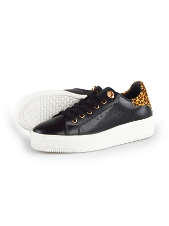 Cellini Sneaker