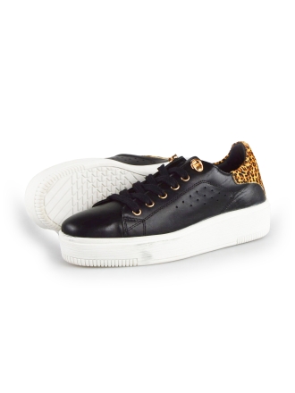 Cellini Sneaker
