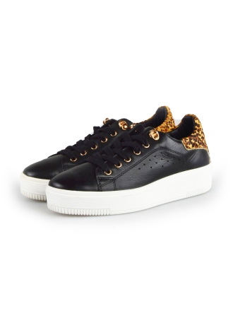 Cellini Sneaker Schwarz 177826