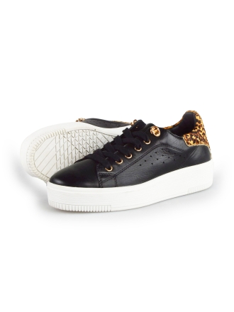 Cellini Sneaker