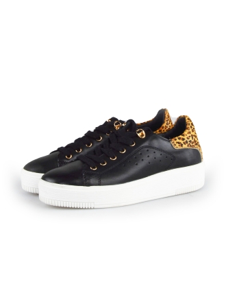 Cellini Sneaker Schwarz 178019