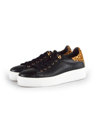 Cellini Sneaker Schwarz 178021
