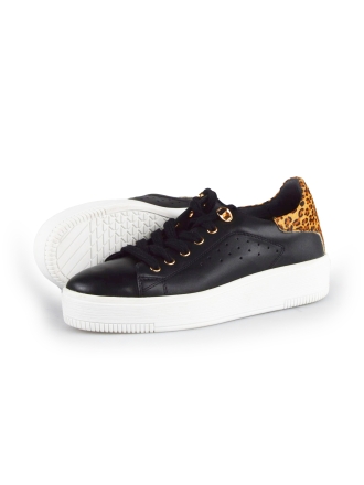 Cellini Sneaker