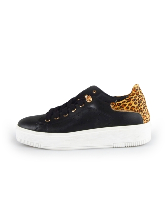 Cellini Sneaker Schwarz 178022