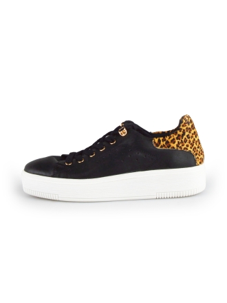 Cellini Sneaker Schwarz 178023