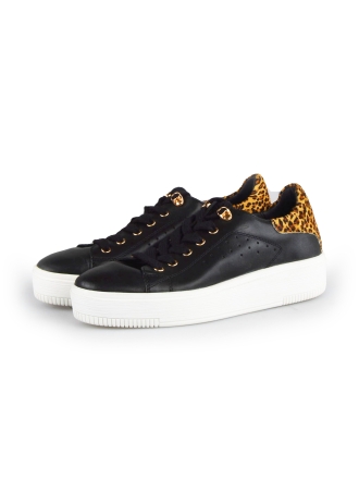 Cellini Sneaker Schwarz 178023