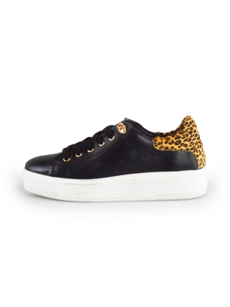 Cellini Sneaker Schwarz 178025