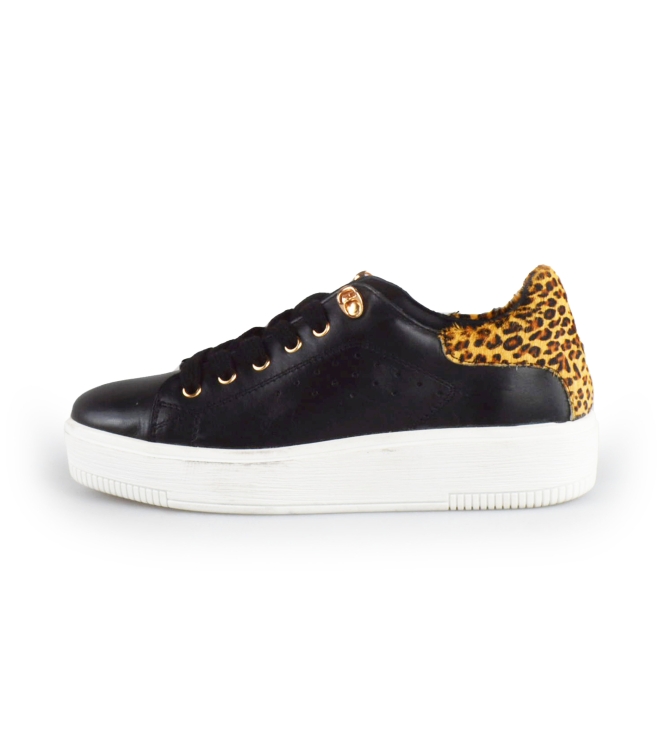 Cellini Sneaker