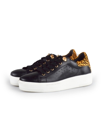 Cellini Sneaker Schwarz 178025