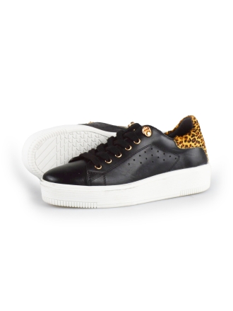 Cellini Sneaker