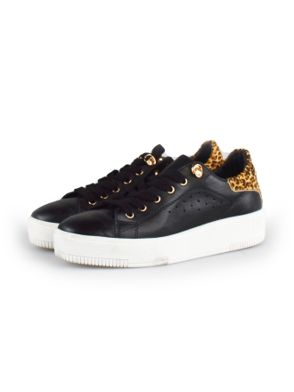 Cellini Sneaker Schwarz 178026