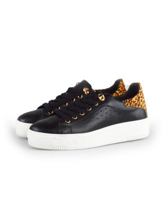 Cellini Sneaker