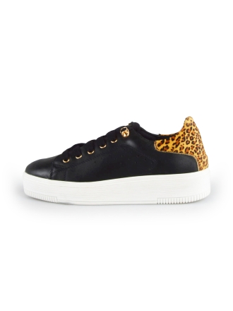 Cellini Sneaker Schwarz 178030