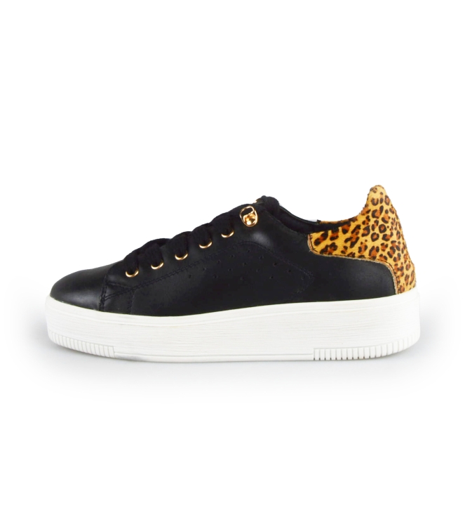 Cellini Sneaker
