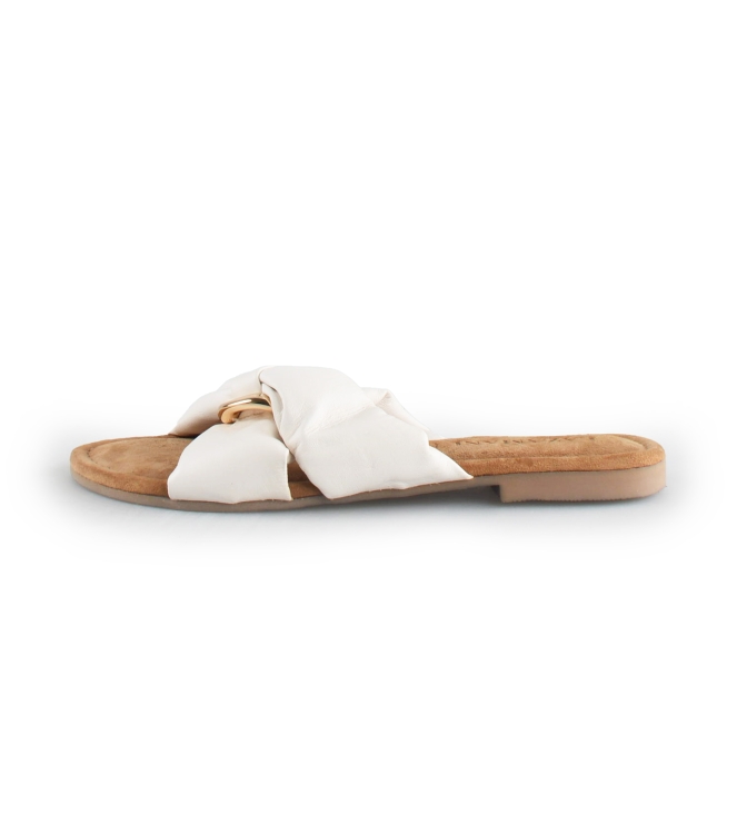Lazamani Flip-Flops