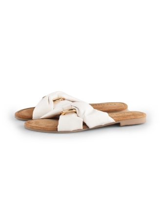 Lazamani Flip-Flops