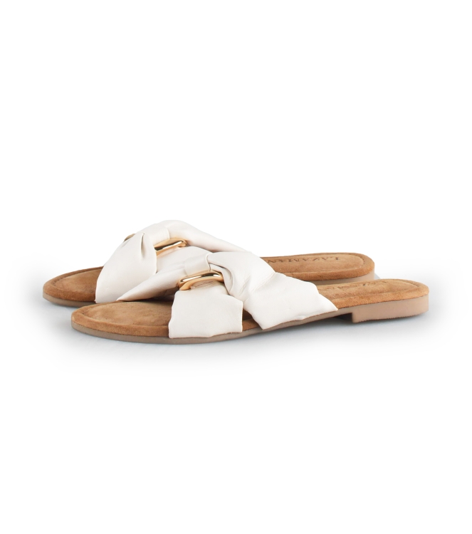 Lazamani Flip-Flops
