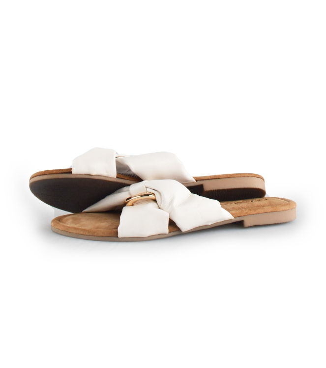 Lazamani Flip-Flops