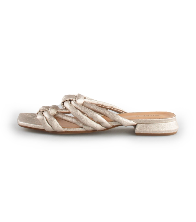Notre-V Flip-Flops