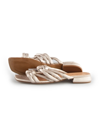 Notre-V Flip-Flops