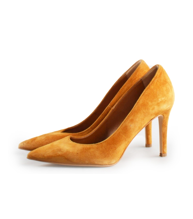Notre-V pumps