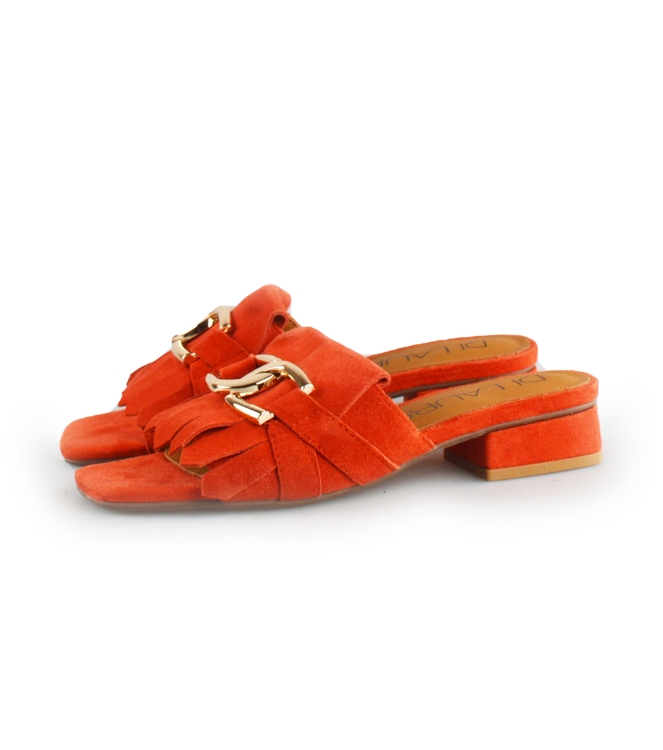Di Lauro Flip-Flops
