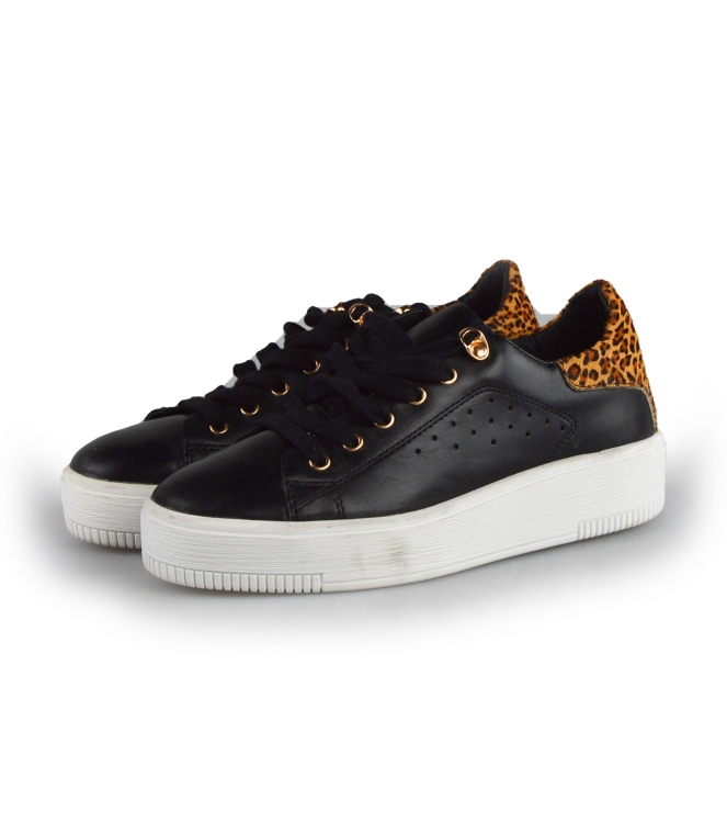 Cellini Sneaker