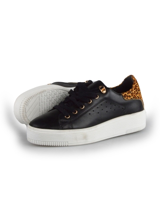 Cellini Sneaker