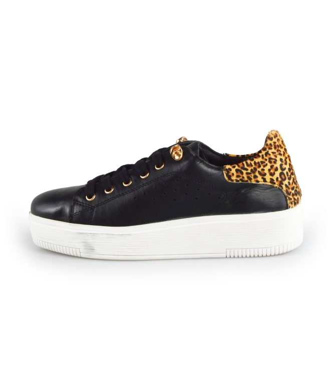 Cellini Sneaker