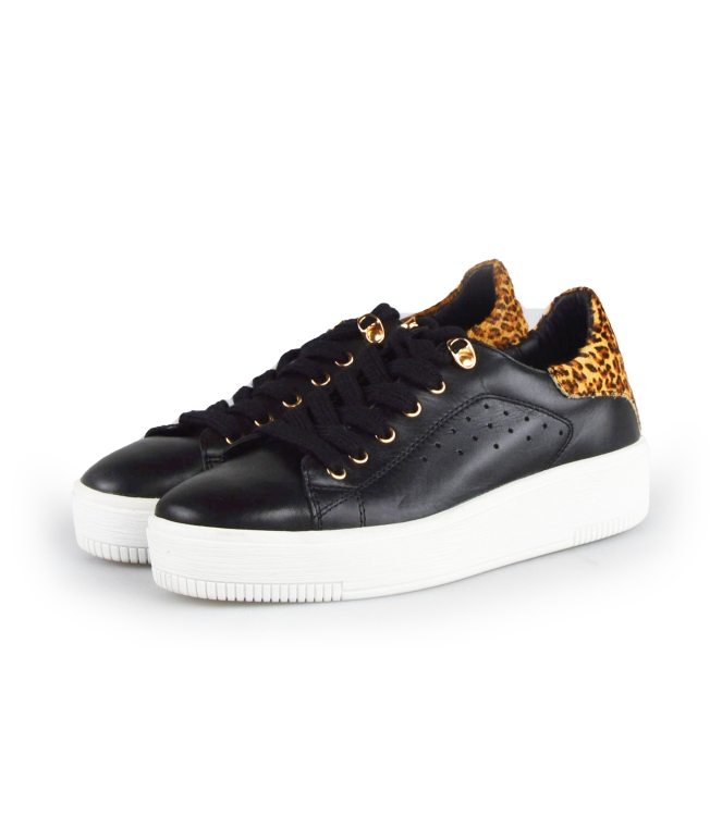 Cellini Sneaker