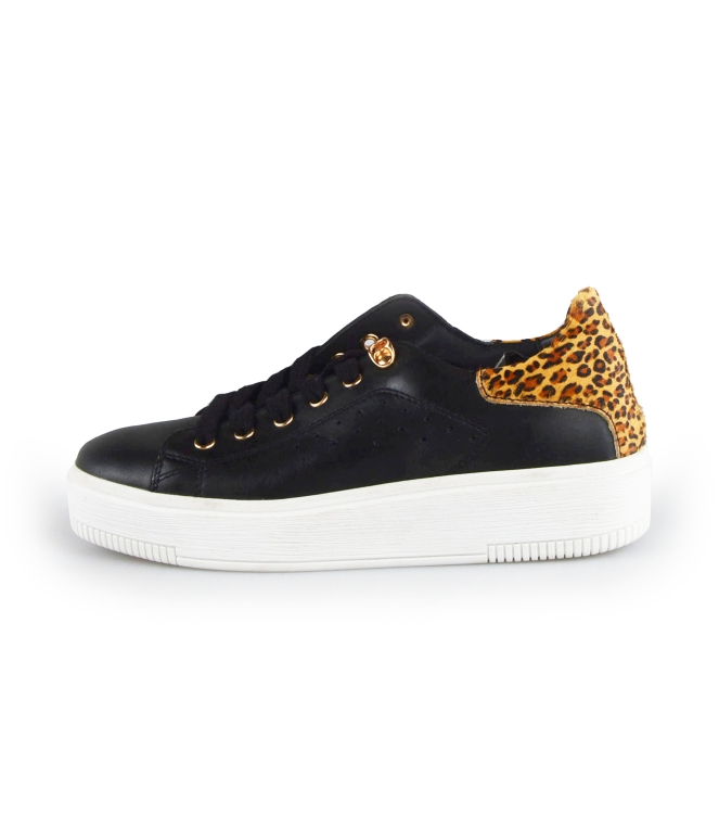 Cellini Sneaker