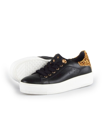 Cellini Sneaker