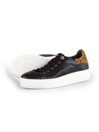 Cellini Sneaker