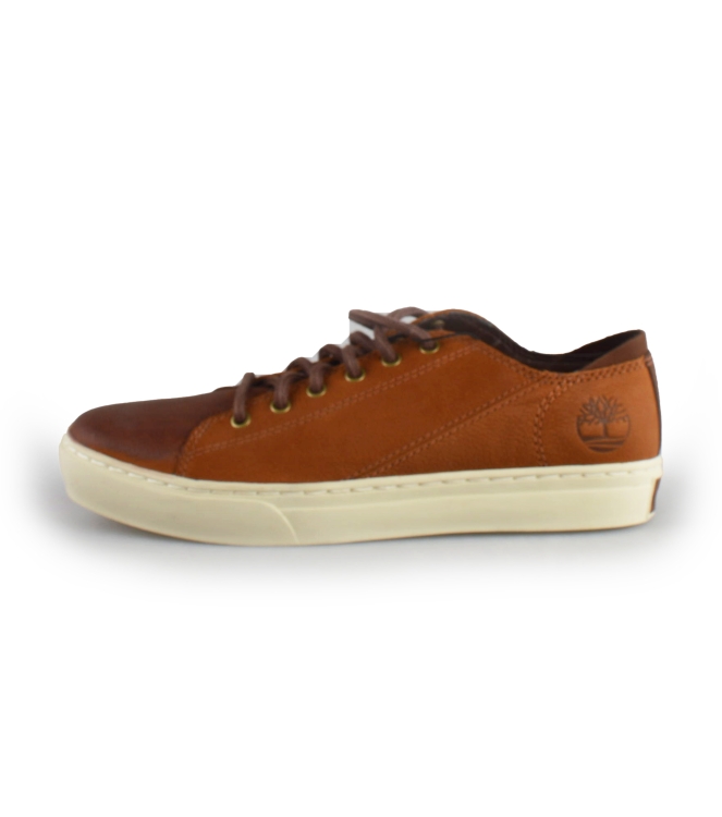 Timberland Sneaker