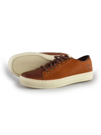 Timberland Sneaker