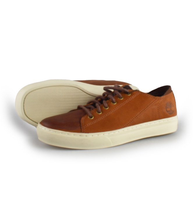 Timberland Sneaker
