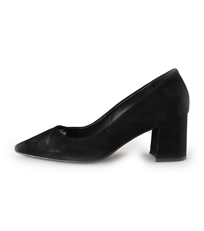 Nelson pumps