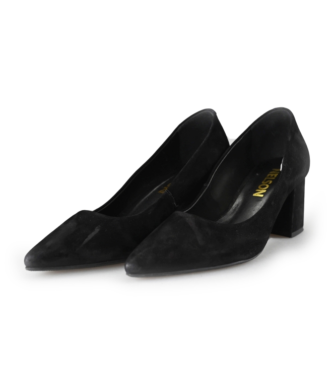Nelson pumps