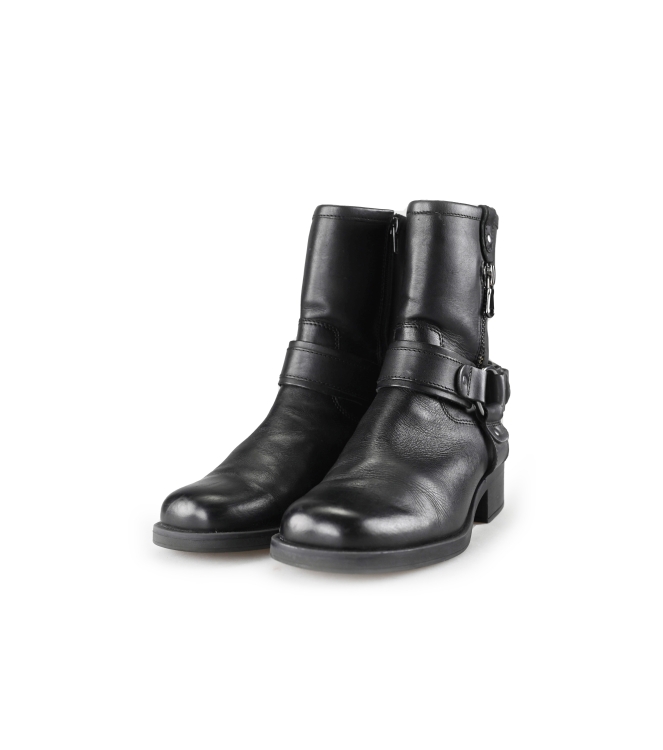 Nelson Stiefel