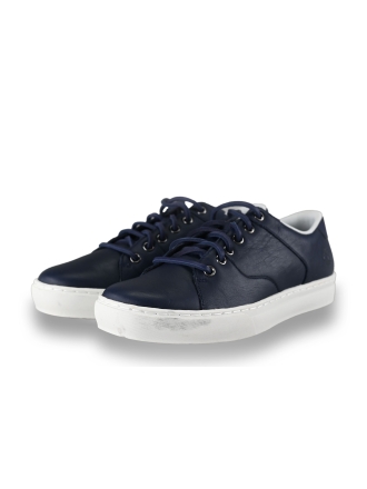 Timberland Sneaker Blau 199335